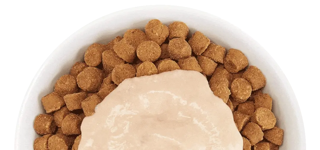 cat food images rotating video