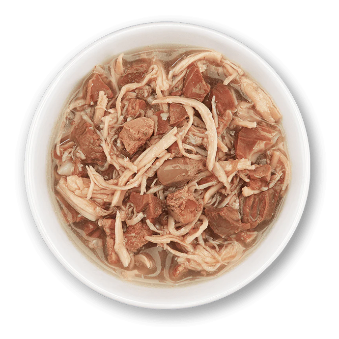 the best wet food for your cat. Cat wet food plate image