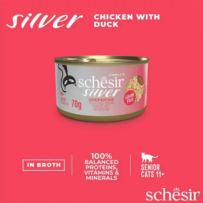 Best wet food for senior cats : schesir silver 