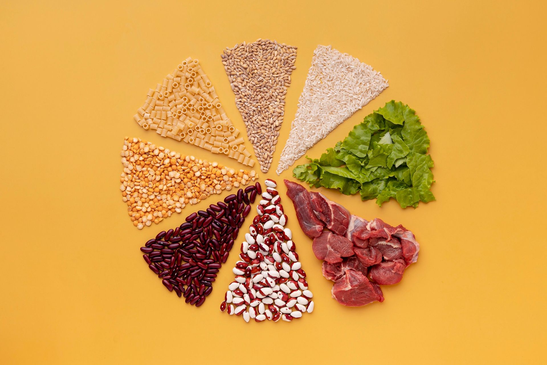 grain free pet food
